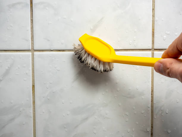 Professional Mold Removal in Manchaca, TX