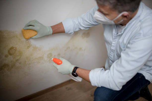 Best Crawl Space Mold Removal  in Manchaca, TX