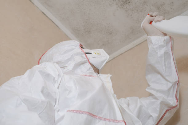 Best Crawl Space Mold Removal  in Manchaca, TX